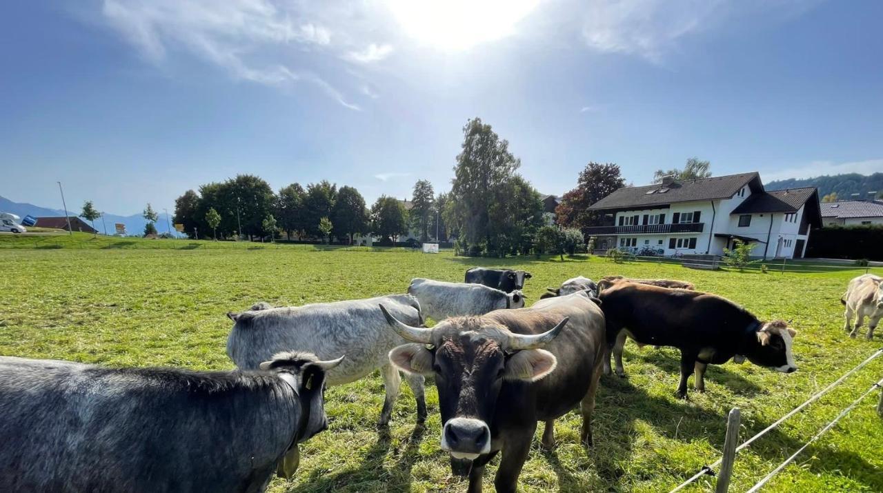 Ferienwohnung Familie Zint Sonthofen Exterior foto